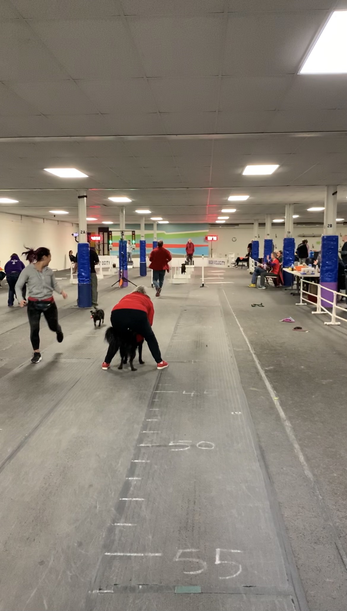 person running with a dog